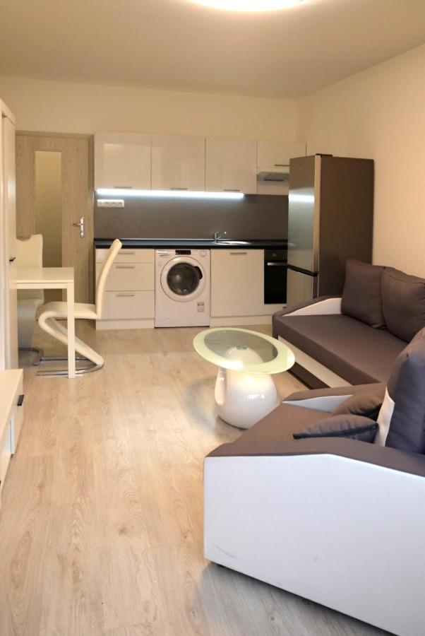 Utulny Apartman V Centru, S Krasnym Vyhledem Decin Ngoại thất bức ảnh