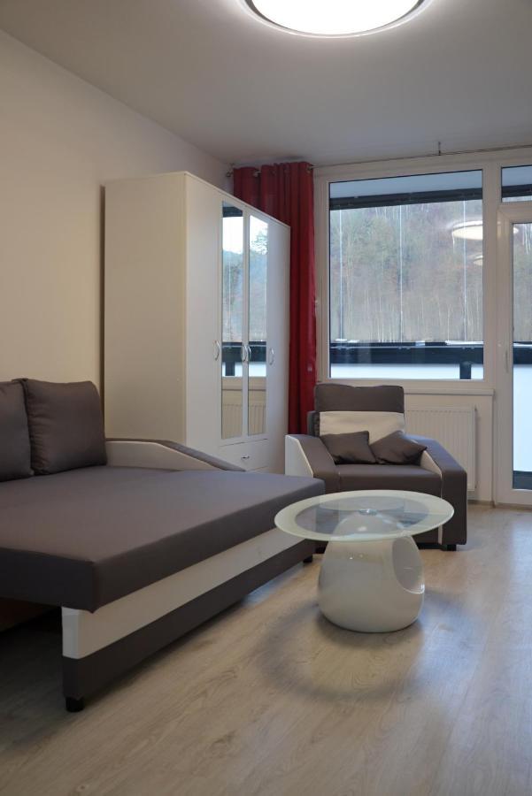 Utulny Apartman V Centru, S Krasnym Vyhledem Decin Ngoại thất bức ảnh