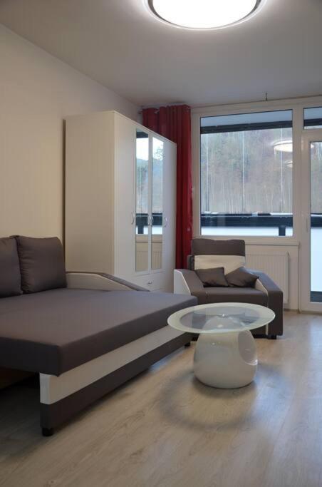 Utulny Apartman V Centru, S Krasnym Vyhledem Decin Ngoại thất bức ảnh